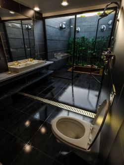 79887 场景 浴室卫生间 Skylight Bath