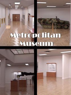 81054 场景大都会博物馆  Metropolitan Museum